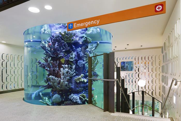 hospital aquarium